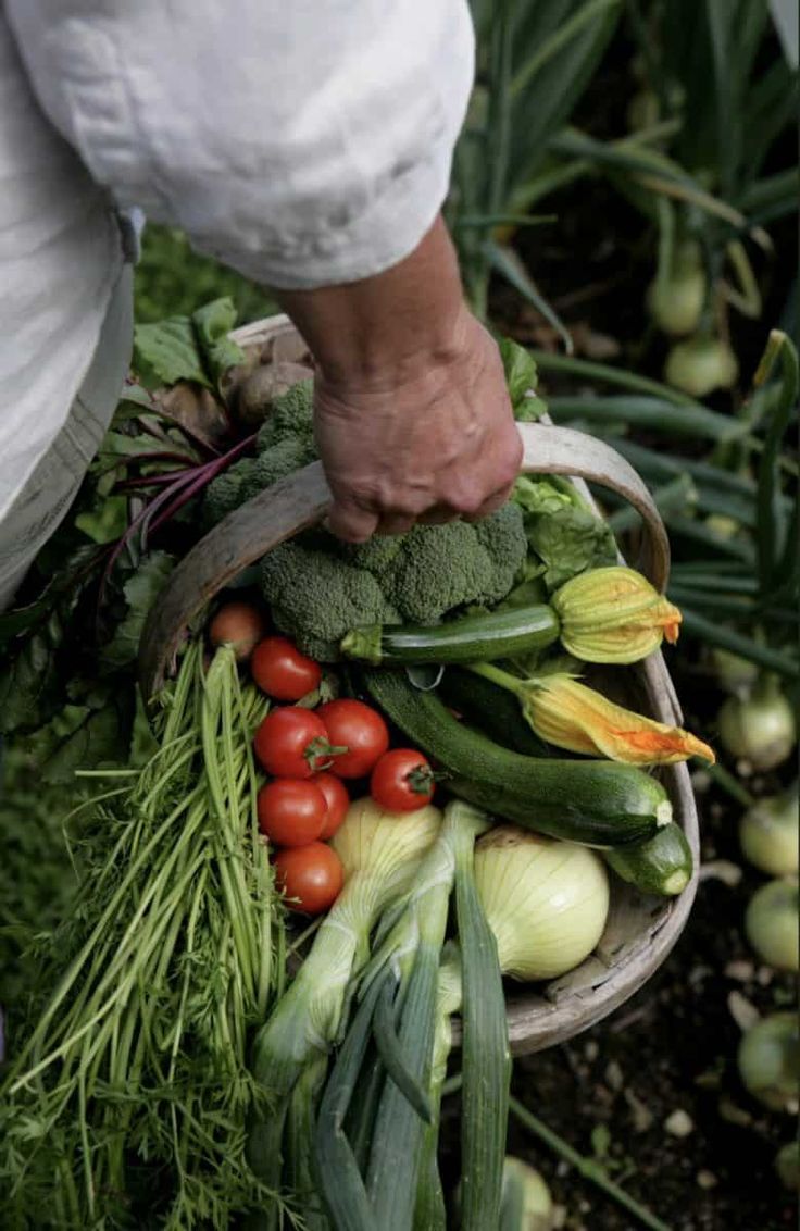 organic vegetables produce