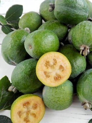 Feijoa (South America)