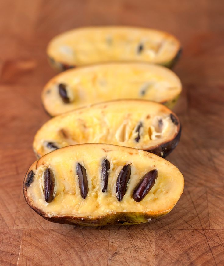 Pawpaw (North America)