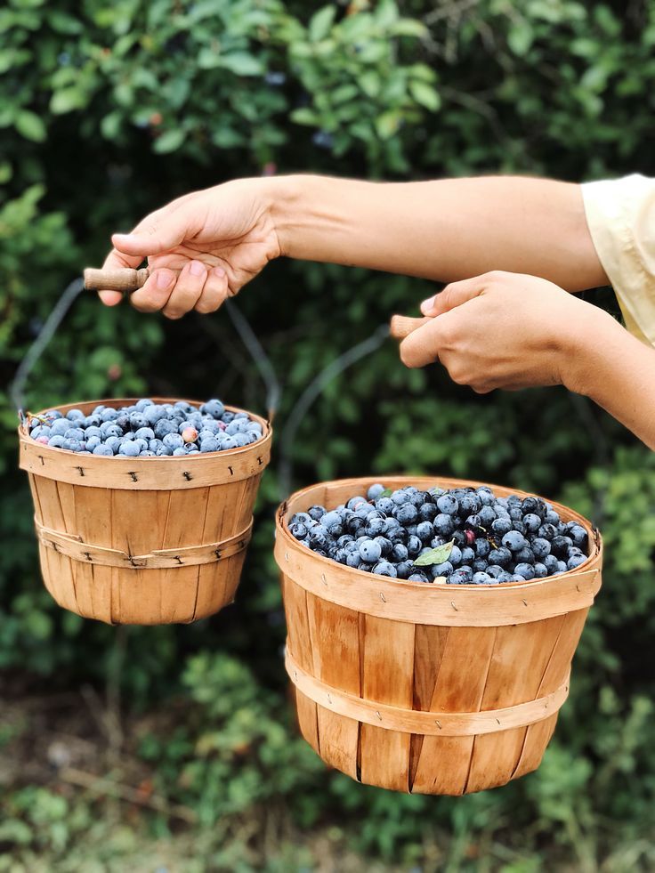 delivery of fresh berries to your home