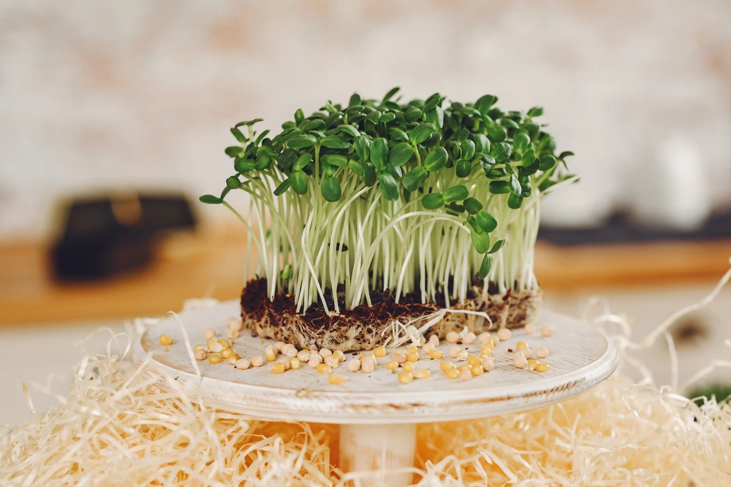 microgreens