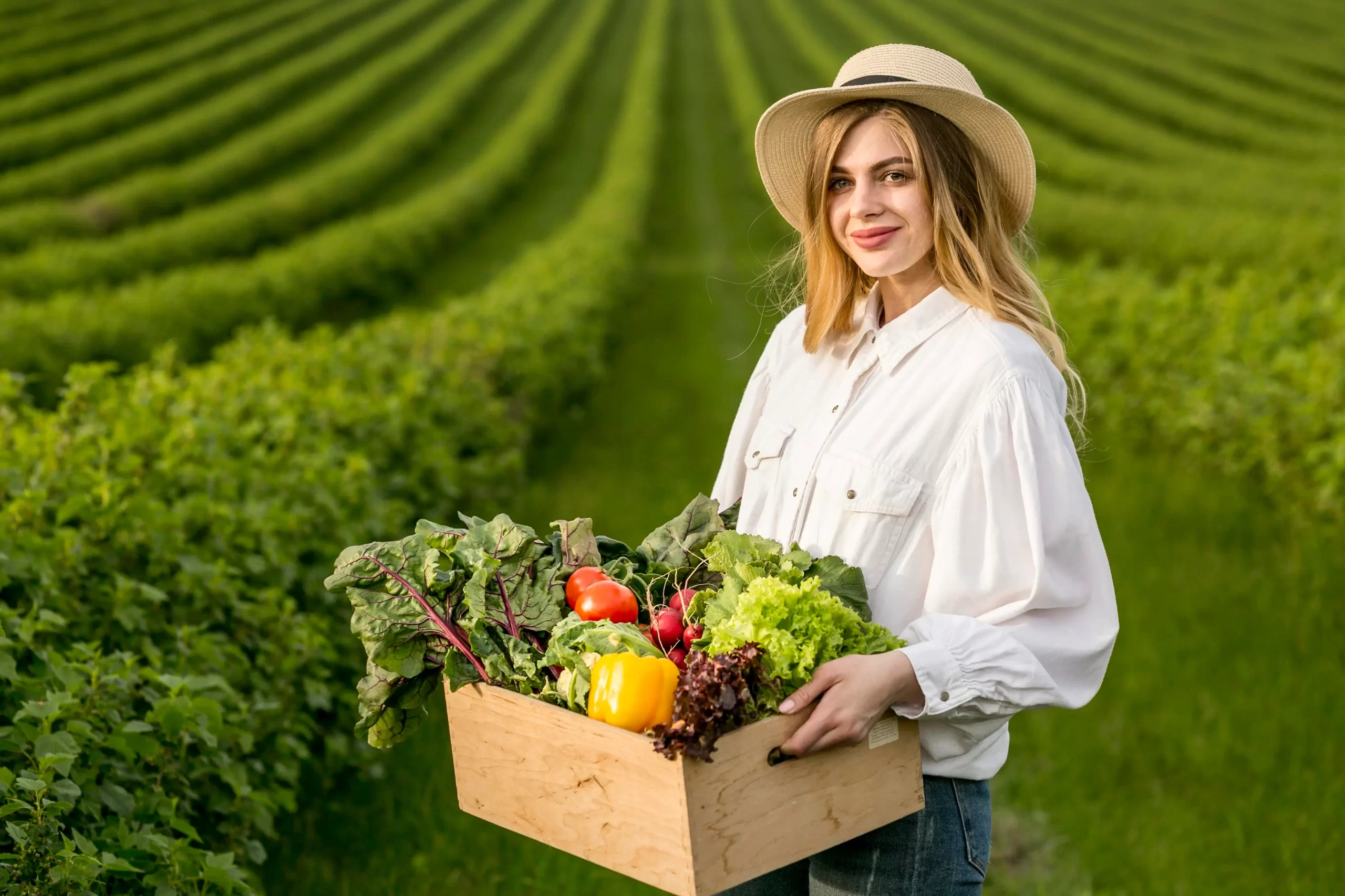 delivery of fresh fruits and vegetables to your home